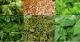 Fenugreek Substitutes